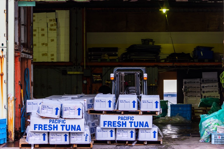 Gabelstapler lädt Kisten mit frischem Pazifik-Thunfisch in einem Lagerhaus.